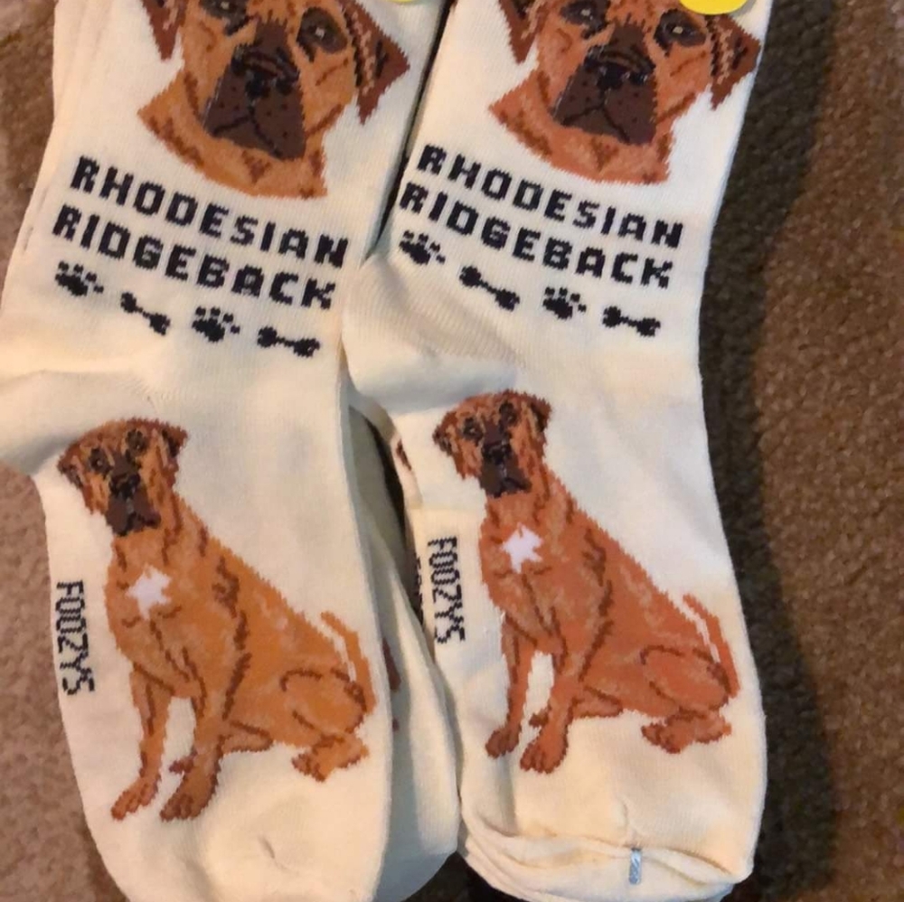 BRAND NEW SOCKS
